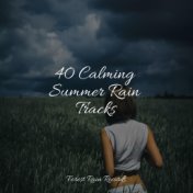 40 Calming Summer Rain Tracks