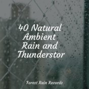 40 Natural Ambient Rain and Thunderstorm