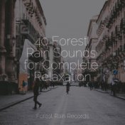 40 Forest Rain Sounds for Complete Relaxation