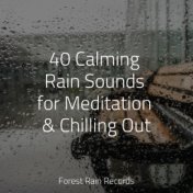 40 Calming Rain Sounds for Meditation & Chilling Out