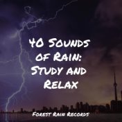 40 Sounds of Rain: Study and Relax