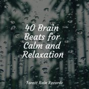 40 Brain Beats for Calm and Relaxation