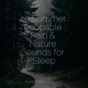 40 Summer Loopable Rain & Nature Sounds for Sleep