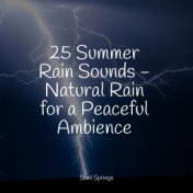 25 Summer Rain Sounds - Natural Rain for a Peaceful Ambience