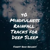40 Mindfulness Rainfall Tracks for Deep Sleep