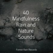 40 Mindfulness Rain and Nature Sounds