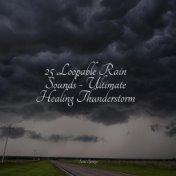 25 Loopable Rain Sounds - Ultimate Healing Thunderstorm