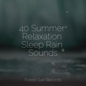 40 Summer Relaxation Sleep Rain Sounds