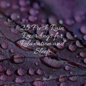 25 Fresh Rain Recordings for Relaxation and Sleep