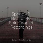 Spring 40 Best of 40 Rain Droplet Recordings