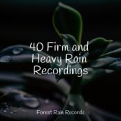 40 Firm and Heavy Rain Recordings