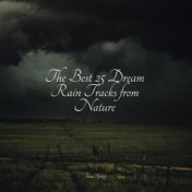 The Best 25 Dream Rain Tracks from Nature