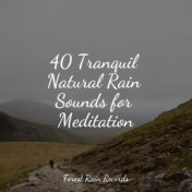 40 Tranquil Natural Rain Sounds for Meditation