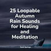 25 Loopable Autumn Rain Sounds for Healing and Meditation