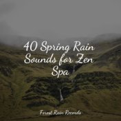 40 Spring Rain Sounds for Zen Spa