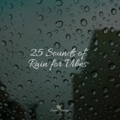 25 Sounds of Rain for Vibes