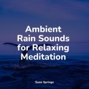 Ambient Rain Sounds for Relaxing Meditation