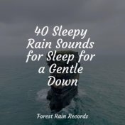 40 Sleepy Rain Sounds for Sleep for a Gentle Down