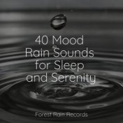 40 Mood Rain Sounds for Sleep and Serenity