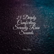 25 Deeply Comforting Serenity Rain Sounds