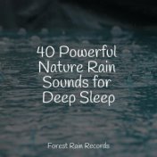 40 Powerful Nature Rain Sounds for Deep Sleep