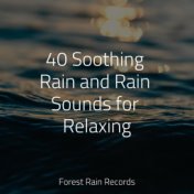 40 Soothing Rain and Rain Sounds for Relaxing
