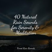 40 Natural Rain Sounds for Serenity & Meditation