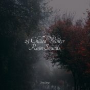 25 Chilled Winter Rain Sounds