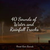 40 Sounds of Water and Rainfall Tracks