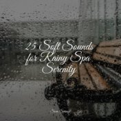 25 Soft Sounds for Rainy Spa Serenity