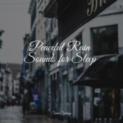 Peaceful Rain Sounds for Sleep