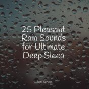 25 Pleasant Rain Sounds for Ultimate Deep Sleep