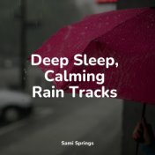 Deep Sleep, Calming Rain Tracks
