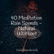 40 Meditation Rain Sounds - Natural Workout