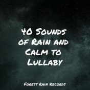 40 Sounds of Rain and Calm to Lullaby