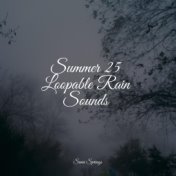 Summer 25 Loopable Rain Sounds