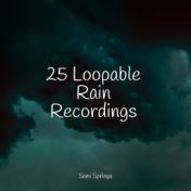 25 Loopable Rain Recordings