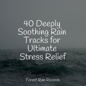 40 Deeply Soothing Rain Tracks for Ultimate Stress Relief