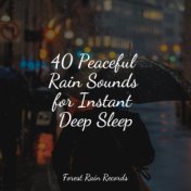 40 Peaceful Rain Sounds for Instant Deep Sleep