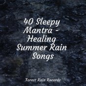 40 Sleepy Mantra - Healing Summer Rain Songs