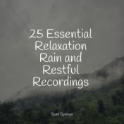 25 Essential Relaxation Rain and Restful Recordings