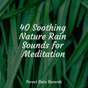 40 Soothing Nature Rain Sounds for Meditation