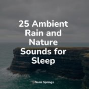25 Ambient Rain and Nature Sounds for Sleep