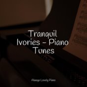 Tranquil Ivories - Piano Tunes