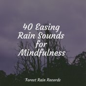 40 Easing Rain Sounds for Mindfulness