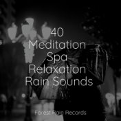 40 Meditation Spa Relaxation Rain Sounds