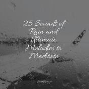 25 Sounds of Rain and Ultimate Melodies to Meditate