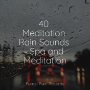 40 Meditation Rain Sounds - Spa and Meditation