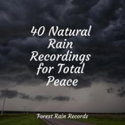 40 Natural Rain Recordings for Total Peace