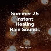 Summer 25 Instant Healing Rain Sounds